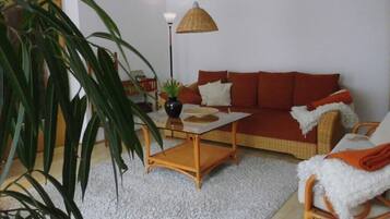 TV, DVD player, books