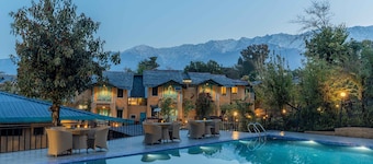 Tree of Life Birdsong Chalets
