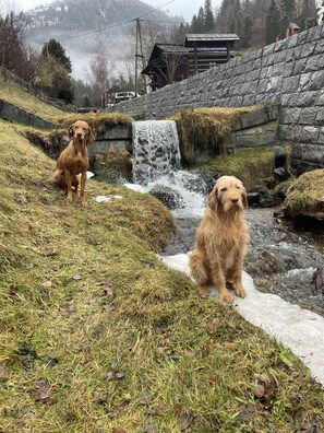 Property grounds - The slanted little house (Rangersdorf)