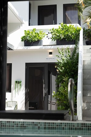 Detalle del exterior