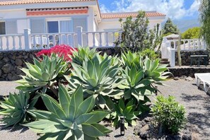 Property grounds - Casa Caro, Las Norias (Todoque)