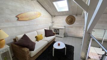 Televisión y libros