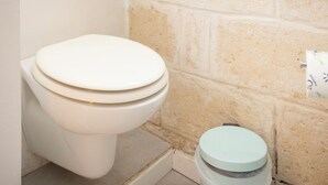 A bathroom with a toilet, a small trash bin, and a window. - Bari LandLord 71 (Bari)