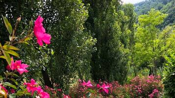 Parco della struttura