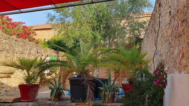 Une cour agrémentée de plantes en pot, d’un mur de pierre et d’une clôture en bois.
