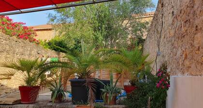 Maison avec espace extérieur. Petite piscine et barbecue