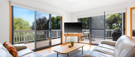 TV, DVD player, books, video library