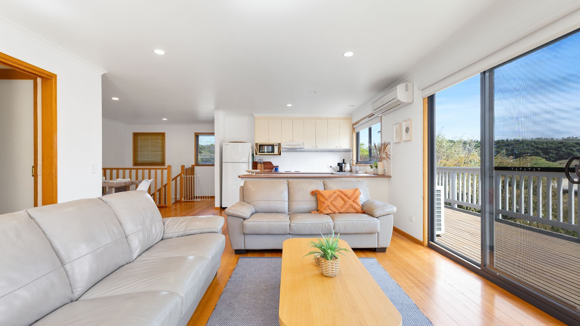 TV, DVD player, books, video library