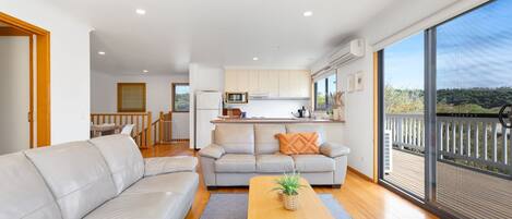 Televisor, reproductor de DVD, llibres i videoteca