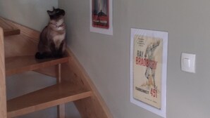 Een houten trap met een kat die op de overloop zit.