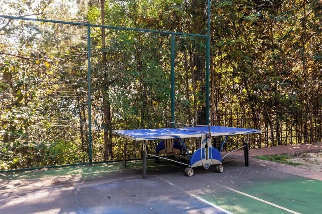 Mesa de ping pong con una red protectora, ubicada en un espacio al aire libre rodeado de árboles.