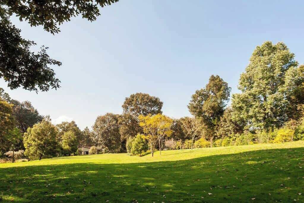 En græsbevokset park med træer og en bygning i baggrunden.