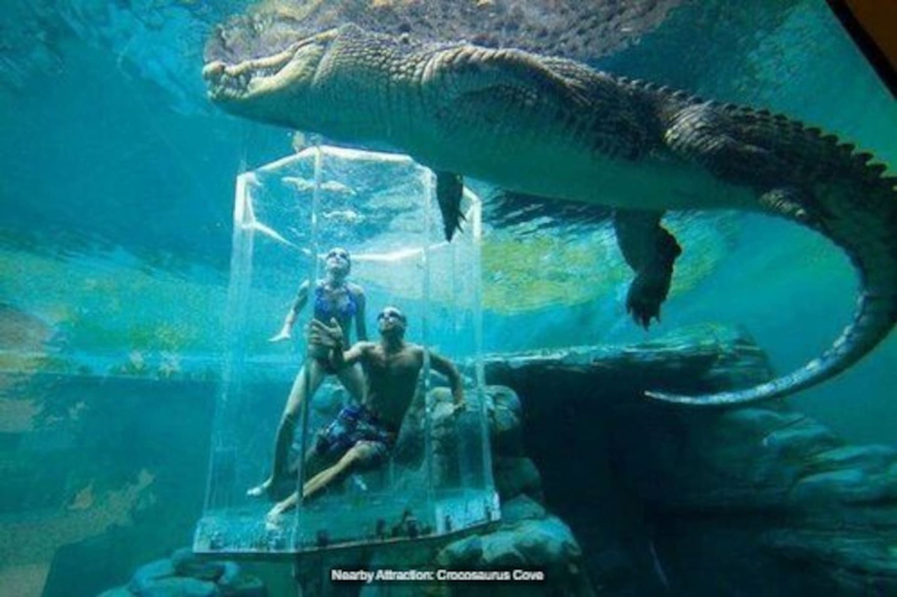 Escena submarina con un cocodrilo grande y dos personas dentro de un recinto transparente.