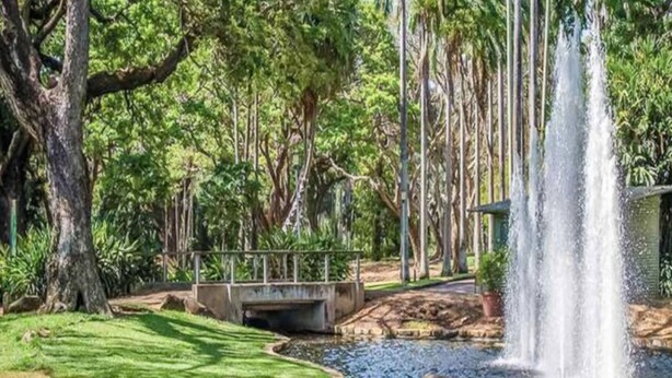 A serene park with a pond, a bridge, and a waterfall. - Zen Nomad Balcony Outdoor Dining Markets (Nightcliff)
