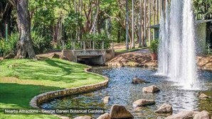 Ein friedlicher Garten mit einem Wasserfall, einer Brücke und einem Teich, umgeben von üppigem Grün.