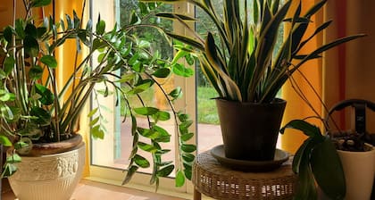 Villa Aurea- A 900 M DES Plages ET 5 MN Embarcadaire Porquerolles