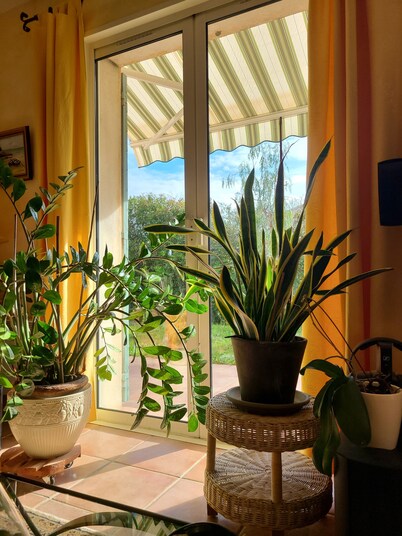 Villa Aurea- A 900 M DES Plages ET 5 MN Embarcadaire Porquerolles