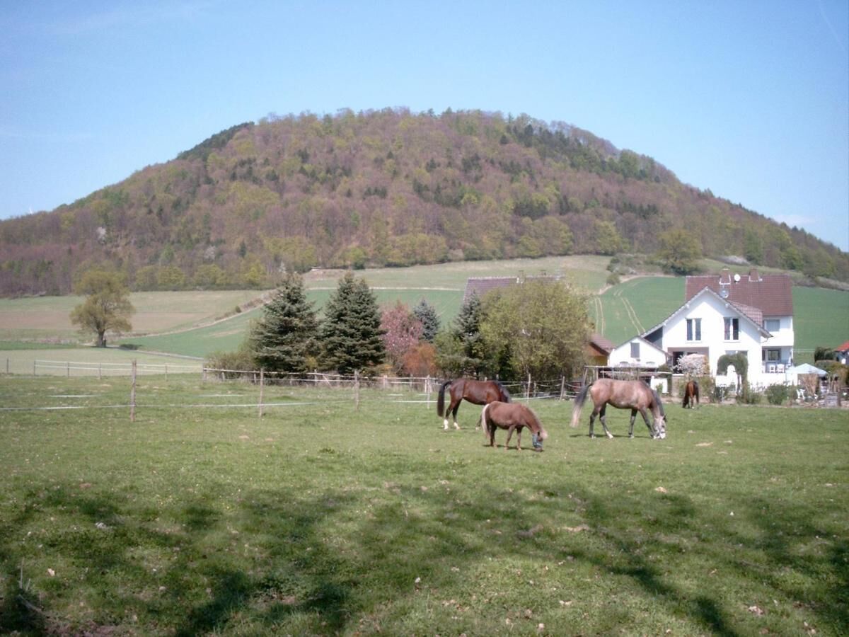 Een landelijk landschap met paarden die grazen, een huis en een heuvel op de achtergrond.