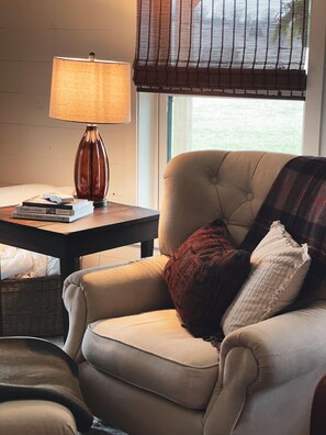 TV connectée, cheminée, livres