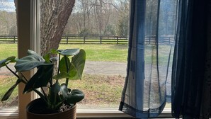 Interior - Wine Country Cottage in charming Charlottesville / Ivy VA - WiFi AC Pets Welcome (Charlottesville)