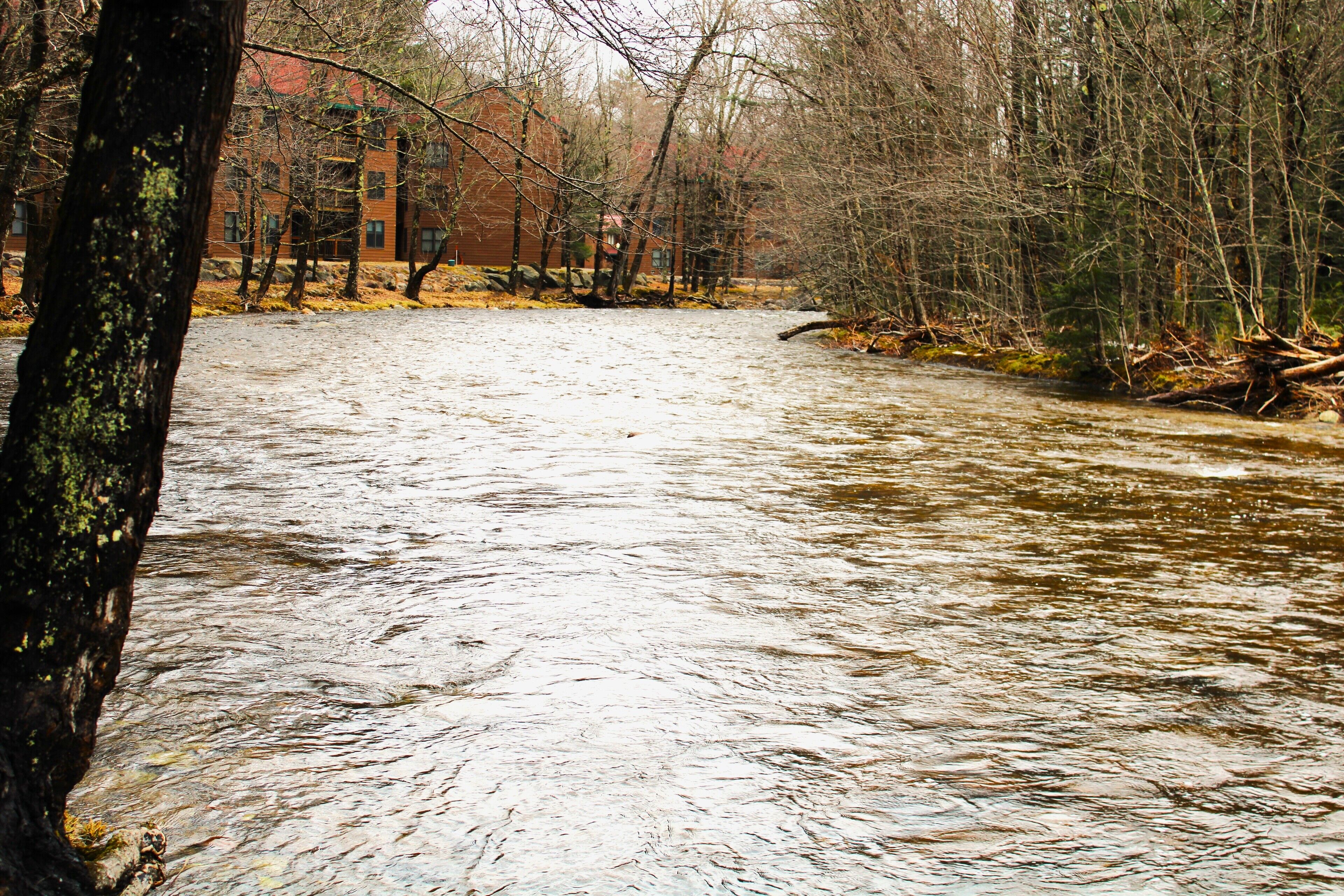 Riverfront Retreat in Deer Park