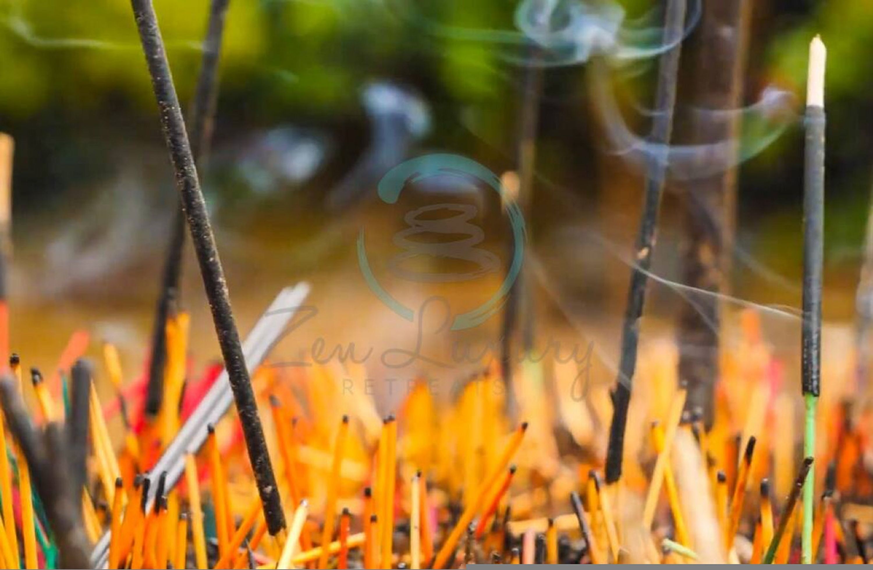 A close-up of burning incense sticks in a natural setting.