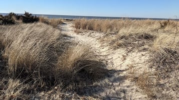 Una spiaggia nelle vicinanze