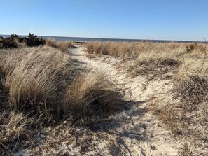 A sandy path with dry grass on either side, leading towards a body of water. - Seahorse Ranch, King bed, Two blocks from Beach (Lower Township)