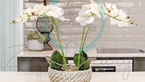 A kitchen with white cabinets, a glass backsplash, and a woven basket holding white orchids. - Zenhouse Stylish Lawn Workspace Outdoordining (Muirhead)