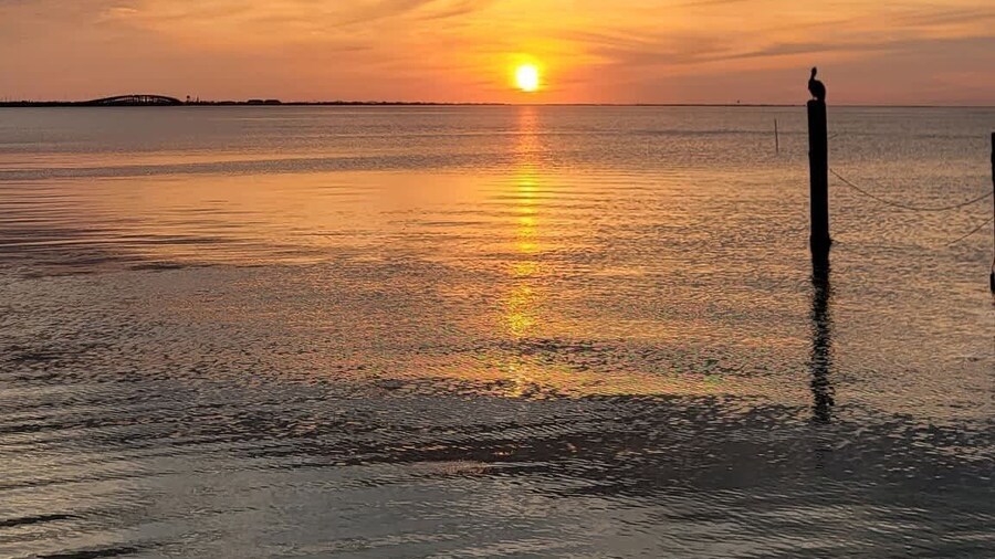 Los Cabos Ii #4 2 Bedroom Condo by RedAwning