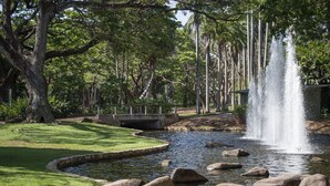 Ein ruhiger Park mit Teich, Brücke und Wasserfall.