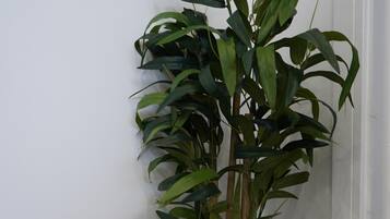 Apartemen | Interior
