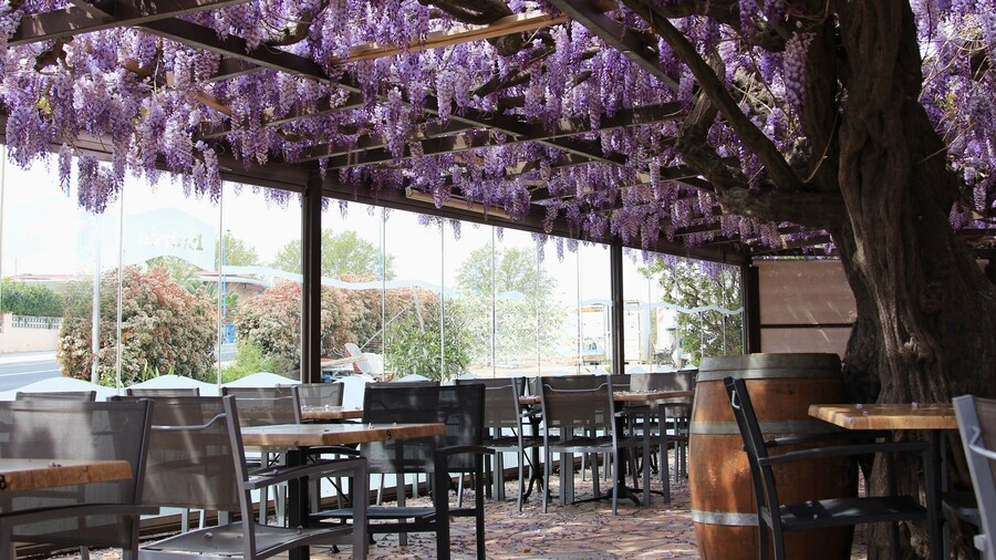 Auberge du bon vivant