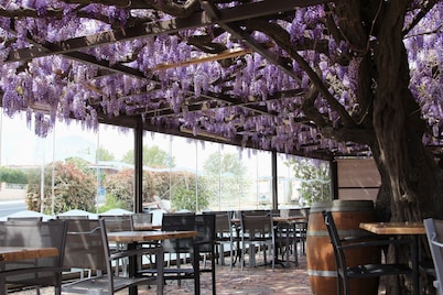 Auberge du bon vivant