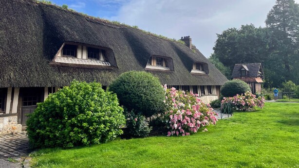 A row of thatched-roof cottages with a well-maintained garden and a clear sky.