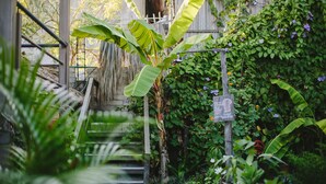 A lush garden with a wooden staircase, banana plants, and a sign. - Puerto Dreams H (Puerto Escondido)