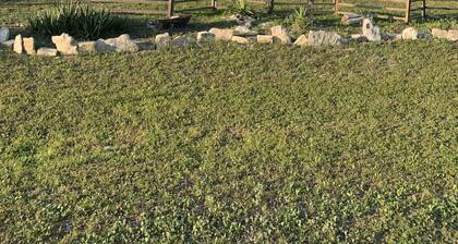 The Live Oak Home: private area with song birds, wildlife and bright stars.