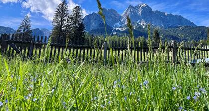 Ferienwohnung "De obere Kloane" mit tollen Bergblick. Haustierfreundlich!