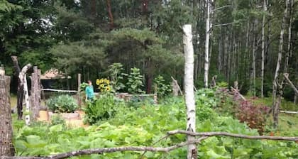 Fiddlehead Farm Yurt