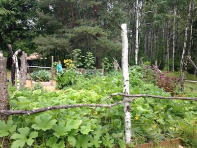Fiddlehead Farm Yurt
