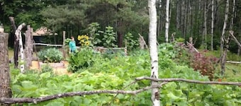 Fiddlehead Farm Yurt