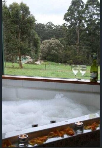 Cabins nestled in 170 acres of old growth forest near the Valley of the Giants.