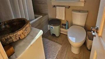 Hair dryer, bidet, towels, soap