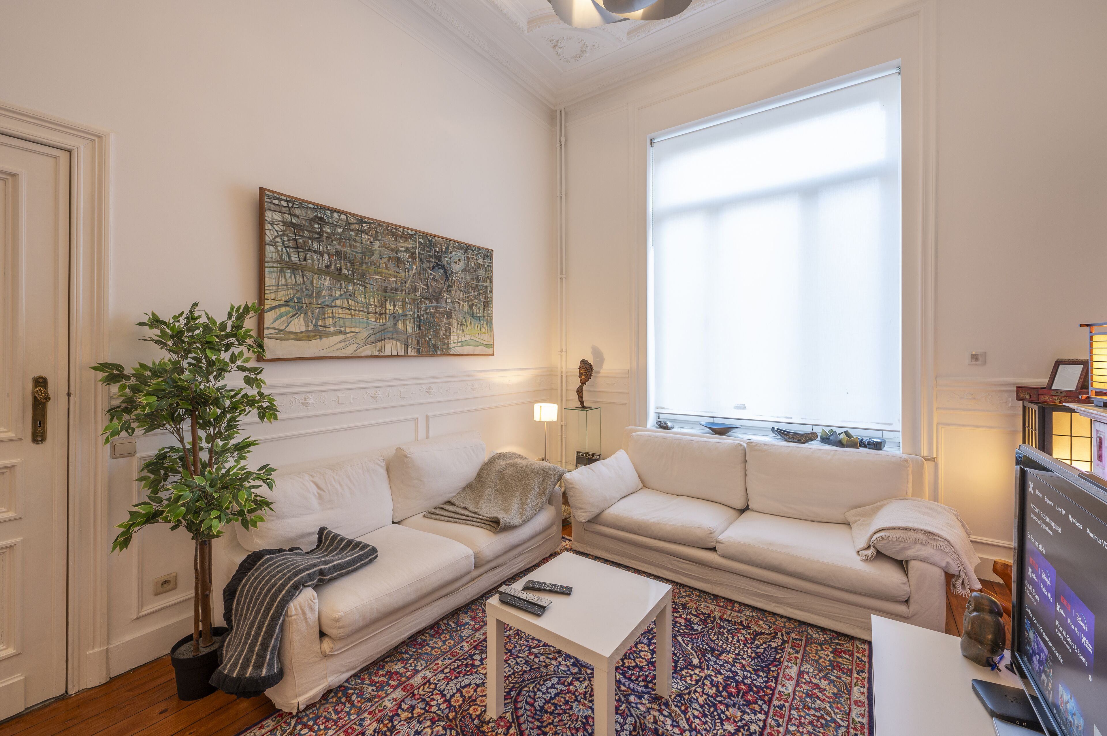 Smart TV, books, computer monitors, printers