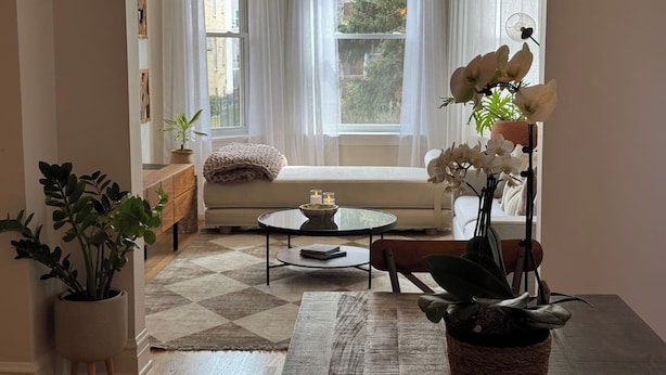 A cozy living room with a sofa, a coffee table, and potted plants.
