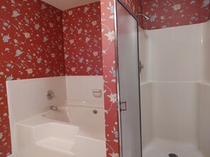 Hair dryer, bidet, towels, soap