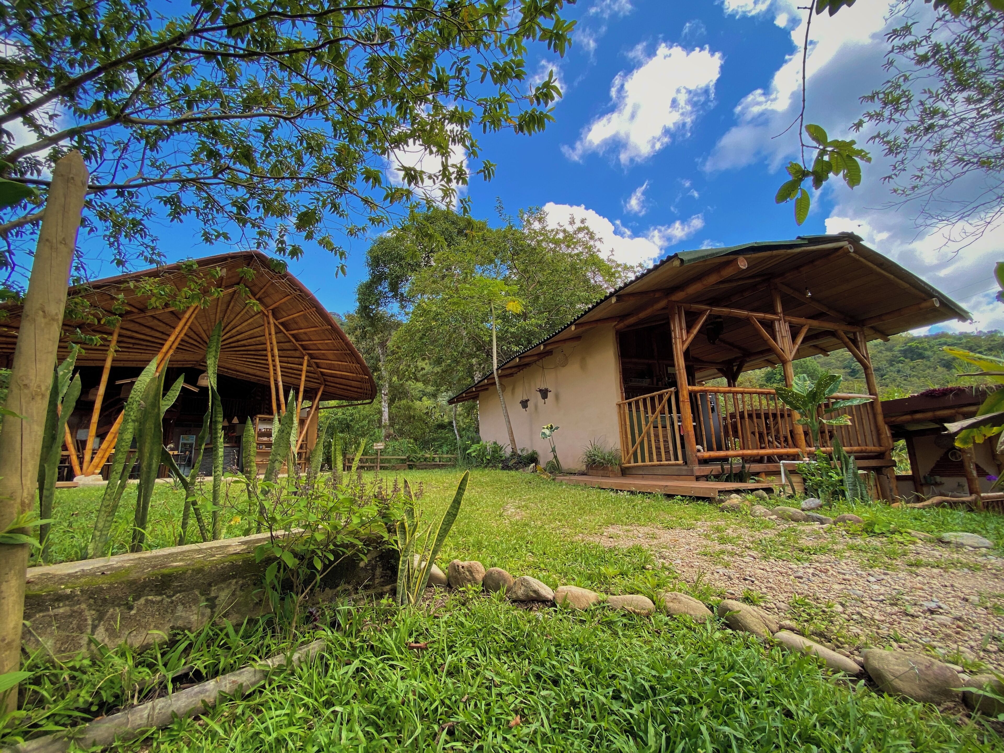A rustic wooden cabin with a thatched roof, surrounded by lush greenery and a clear blue sky.