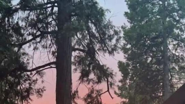 A cabin with a view of a forest and a sunset. - Pollock Pines - Family get away, 2 miles from Sly Park lake - Near Apple Hill

 (Pollock Pines)