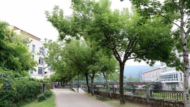 A paved pathway flanked by trees and a stone wall, leading to a bridge over a body of water. - Alojamiento Caldas de Reis - Pensión (Caldas de Reis)