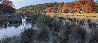 Natural Springs Lodge